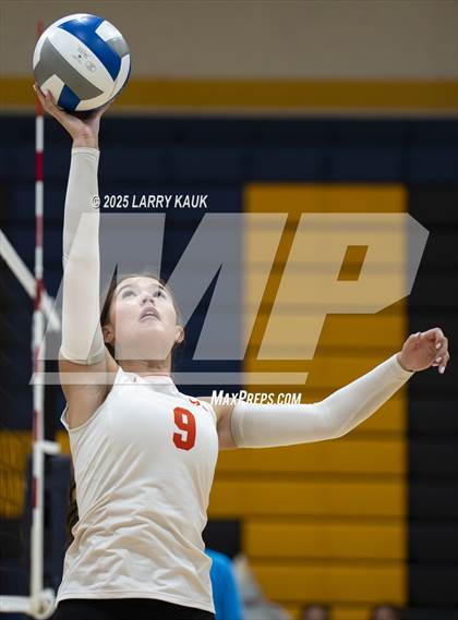 Thumbnail 1 in Los Gatos @ Milpitas photogallery.