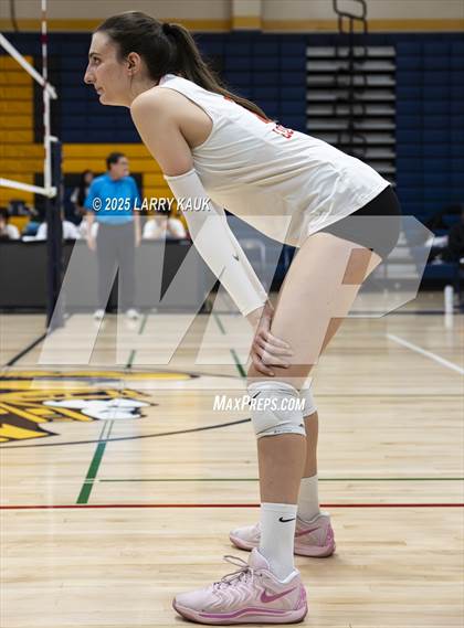 Thumbnail 3 in Los Gatos @ Milpitas photogallery.