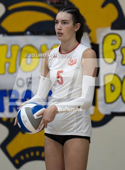 Thumbnail 1 in Los Gatos @ Milpitas photogallery.