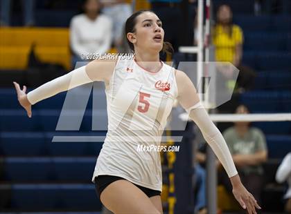 Thumbnail 3 in Los Gatos @ Milpitas photogallery.