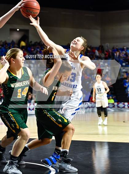 Thumbnail 3 in Wonderview vs. Mt. Vernon-Enola (AAA 1A Final) photogallery.