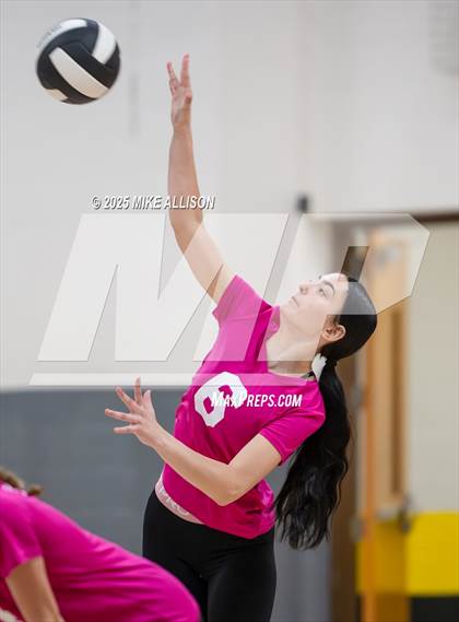Thumbnail 2 in Red Bank @ Hixson photogallery.