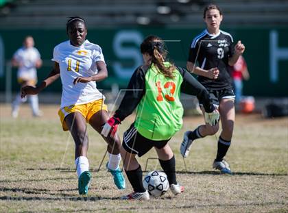 Thumbnail 1 in Forestview vs Crest (Gazette Cup) photogallery.