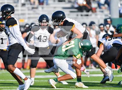 Thumbnail 1 in Klein Oak vs Klein Forest  photogallery.