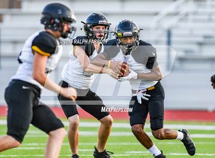 Thumbnail 1 in Klein Oak vs Klein Forest  photogallery.