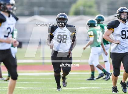 Thumbnail 3 in Klein Oak vs Klein Forest  photogallery.