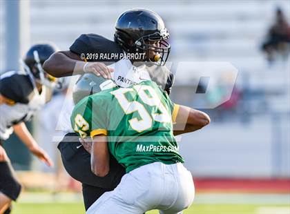 Thumbnail 2 in Klein Oak vs Klein Forest  photogallery.