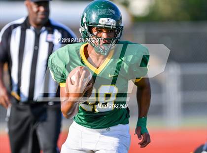 Thumbnail 1 in Klein Oak vs Klein Forest  photogallery.