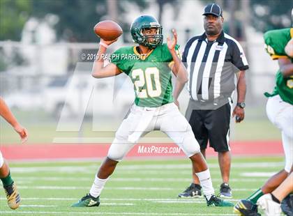 Thumbnail 2 in Klein Oak vs Klein Forest  photogallery.