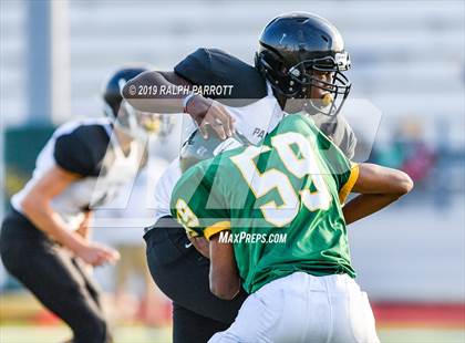 Thumbnail 1 in Klein Oak vs Klein Forest  photogallery.