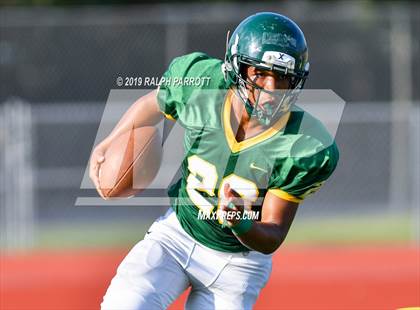 Thumbnail 1 in Klein Oak vs Klein Forest  photogallery.