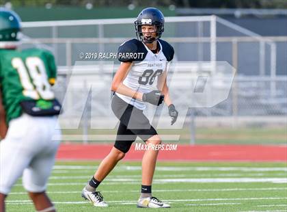 Thumbnail 2 in Klein Oak vs Klein Forest  photogallery.