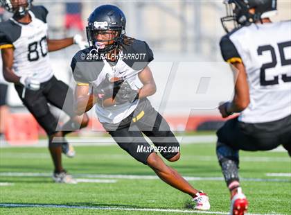 Thumbnail 3 in Klein Oak vs Klein Forest  photogallery.