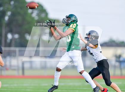 Thumbnail 2 in Klein Oak vs Klein Forest  photogallery.
