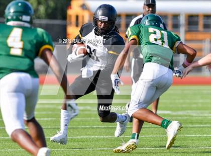 Thumbnail 2 in Klein Oak vs Klein Forest  photogallery.