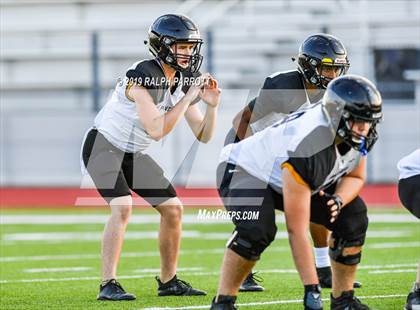 Thumbnail 3 in Klein Oak vs Klein Forest  photogallery.