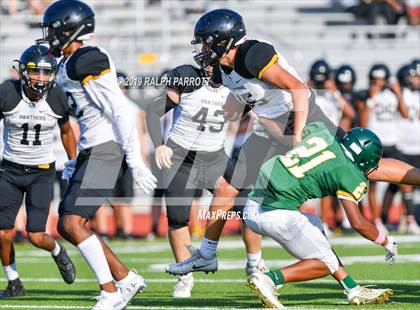 Thumbnail 2 in Klein Oak vs Klein Forest  photogallery.