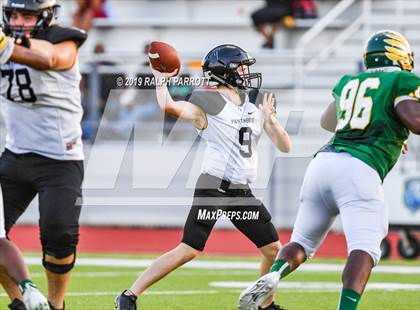 Thumbnail 2 in Klein Oak vs Klein Forest  photogallery.