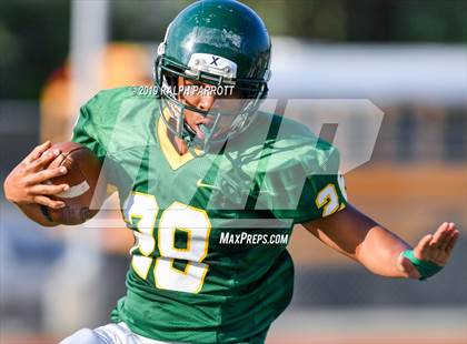 Thumbnail 3 in Klein Oak vs Klein Forest  photogallery.