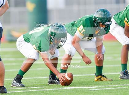 Thumbnail 3 in Klein Oak vs Klein Forest  photogallery.