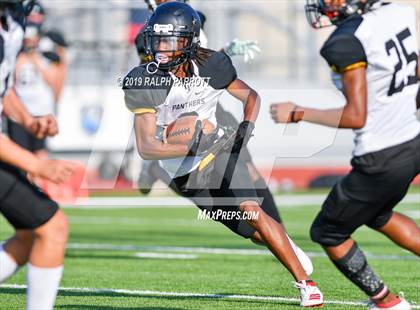 Thumbnail 2 in Klein Oak vs Klein Forest  photogallery.