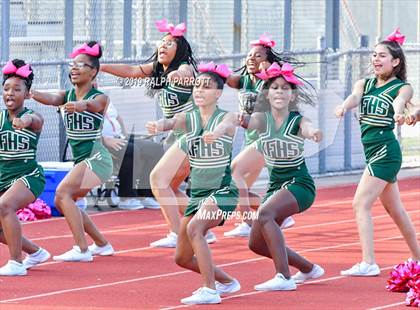 Thumbnail 2 in Klein Oak vs Klein Forest  photogallery.
