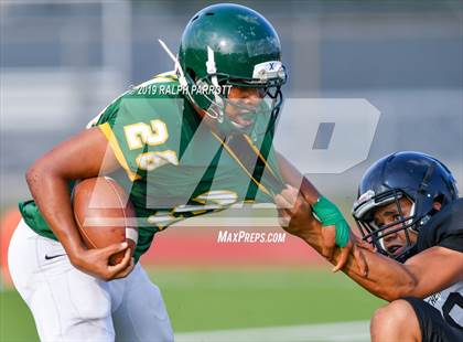 Thumbnail 1 in Klein Oak vs Klein Forest  photogallery.