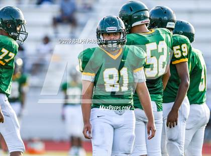 Thumbnail 3 in Klein Oak vs Klein Forest  photogallery.