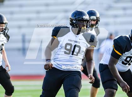 Thumbnail 3 in Klein Oak vs Klein Forest  photogallery.