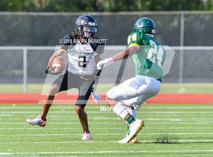 Thumbnail 2 in Klein Oak vs Klein Forest  photogallery.