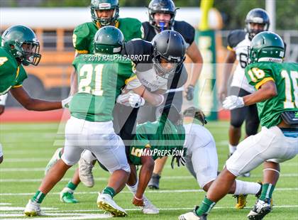 Thumbnail 1 in Klein Oak vs Klein Forest  photogallery.