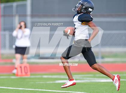 Thumbnail 1 in Klein Oak vs Klein Forest  photogallery.