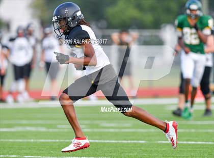 Thumbnail 1 in Klein Oak vs Klein Forest  photogallery.