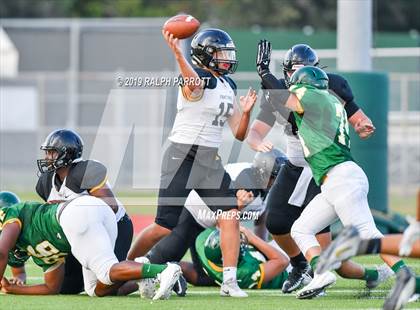 Thumbnail 3 in Klein Oak vs Klein Forest  photogallery.