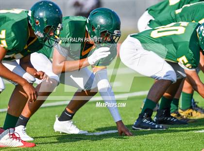 Thumbnail 3 in Klein Oak vs Klein Forest  photogallery.