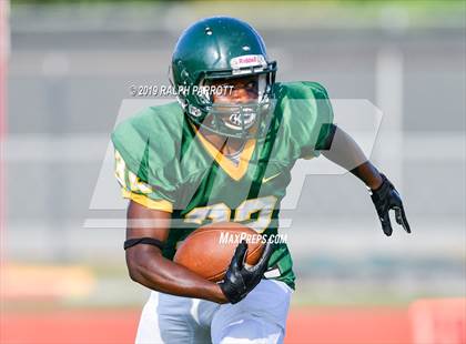 Thumbnail 2 in Klein Oak vs Klein Forest  photogallery.
