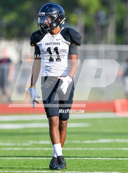 Thumbnail 1 in Klein Oak vs Klein Forest  photogallery.
