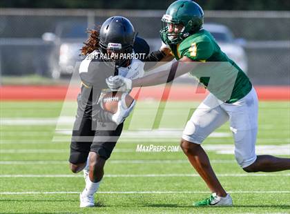 Thumbnail 1 in Klein Oak vs Klein Forest  photogallery.