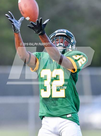 Thumbnail 2 in Klein Oak vs Klein Forest  photogallery.