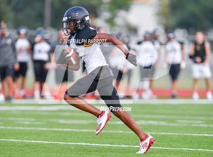 Thumbnail 2 in Klein Oak vs Klein Forest  photogallery.