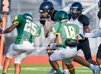 Thumbnail 2 in Klein Oak vs Klein Forest  photogallery.