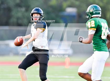 Thumbnail 1 in Klein Oak vs Klein Forest  photogallery.