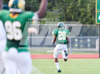 Thumbnail 2 in Klein Oak vs Klein Forest  photogallery.