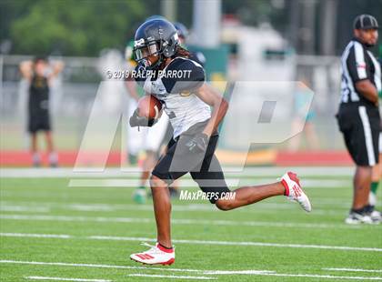 Thumbnail 3 in Klein Oak vs Klein Forest  photogallery.