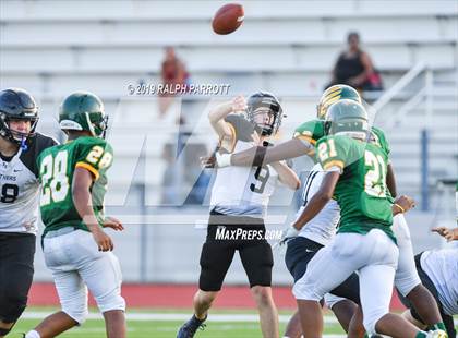 Thumbnail 2 in Klein Oak vs Klein Forest  photogallery.