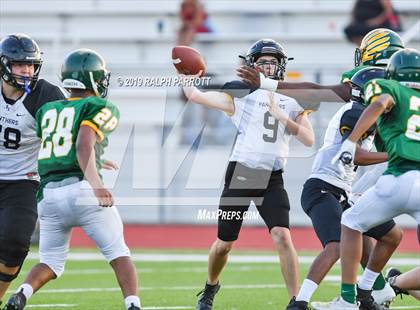 Thumbnail 1 in Klein Oak vs Klein Forest  photogallery.