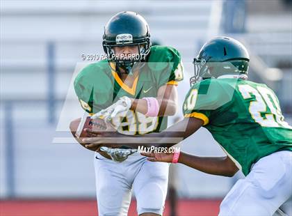Thumbnail 1 in Klein Oak vs Klein Forest  photogallery.