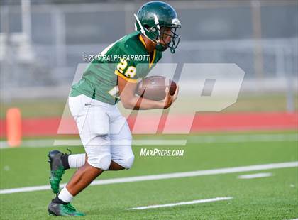 Thumbnail 1 in Klein Oak vs Klein Forest  photogallery.