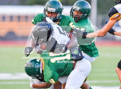 Thumbnail 2 in Klein Oak vs Klein Forest  photogallery.