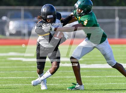 Thumbnail 3 in Klein Oak vs Klein Forest  photogallery.